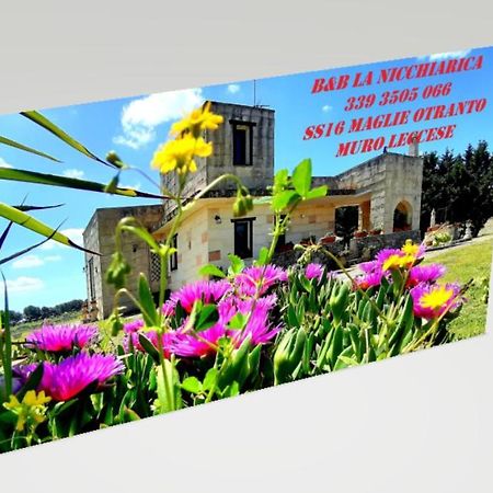B&B La Nicchiarica Muro Leccese Dış mekan fotoğraf