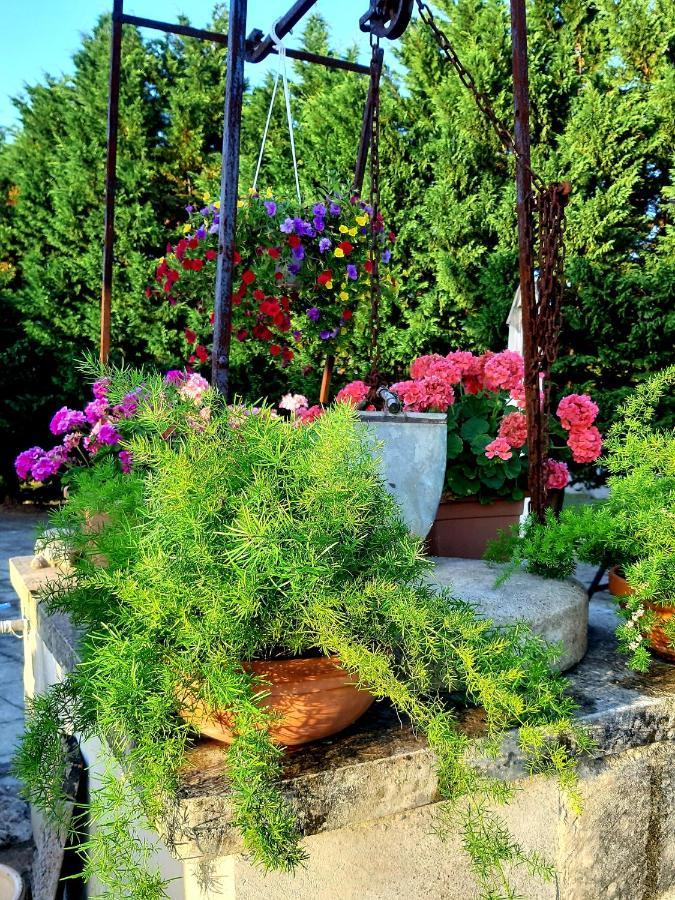 B&B La Nicchiarica Muro Leccese Dış mekan fotoğraf
