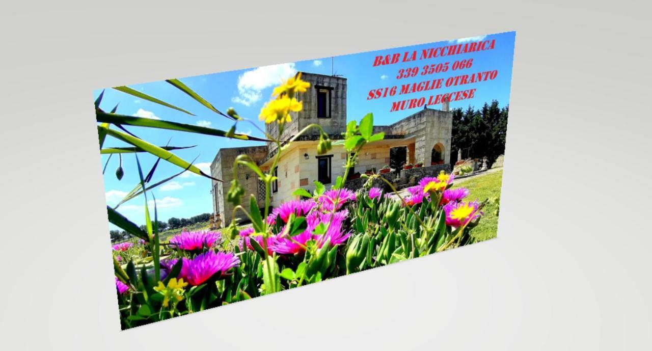 B&B La Nicchiarica Muro Leccese Dış mekan fotoğraf